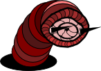 Sandworm